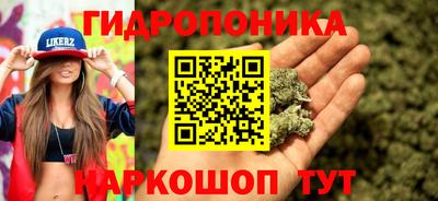 стафф Лесосибирск