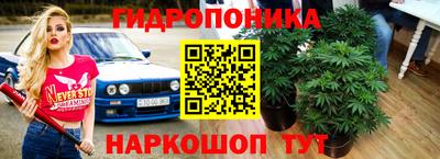 стафф Лесосибирск
